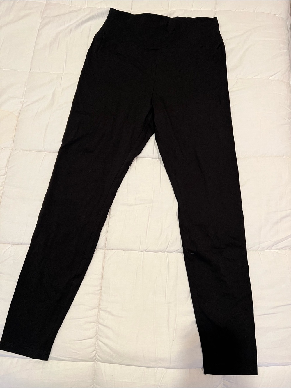 HUE Black High-Rise Leggings